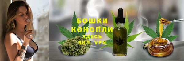 прущие грибы Нязепетровск