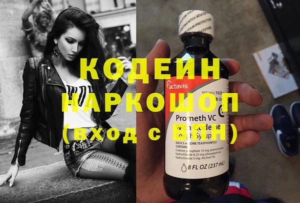 метадон Няндома