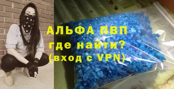 прущие грибы Нязепетровск