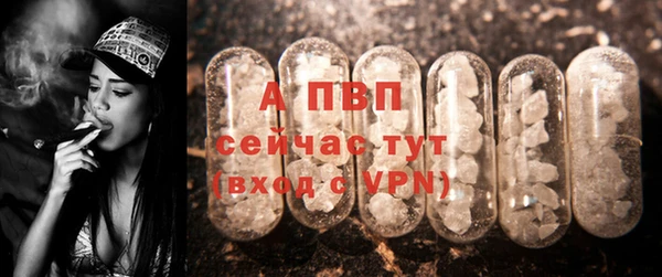 прущие грибы Нязепетровск