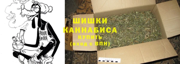 метадон Няндома