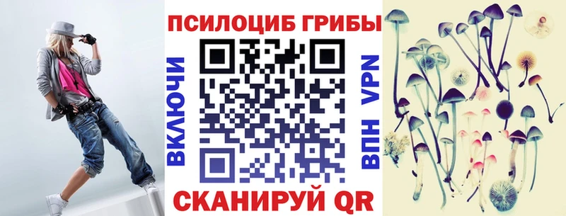 Галлюциногенные грибы Psilocybine cubensis  Якутск 