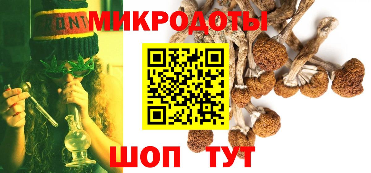 Псилоцибиновые грибы Psilocybine cubensis  Вход с VPN  Якутск 
